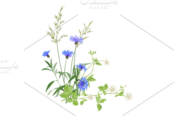 Spring Wildflowers in Illustrations - product preview 3