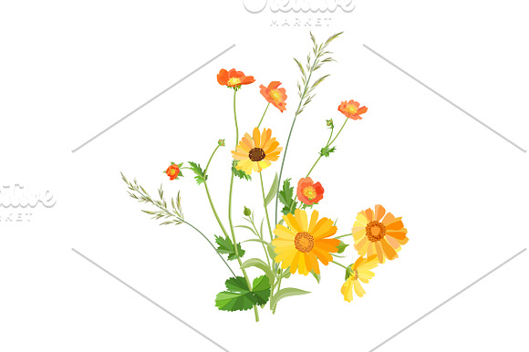 Spring Wildflowers in Illustrations - product preview 5