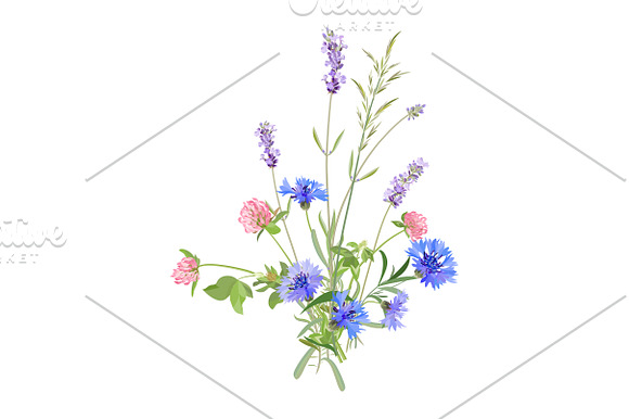 Spring Wildflowers in Illustrations - product preview 8
