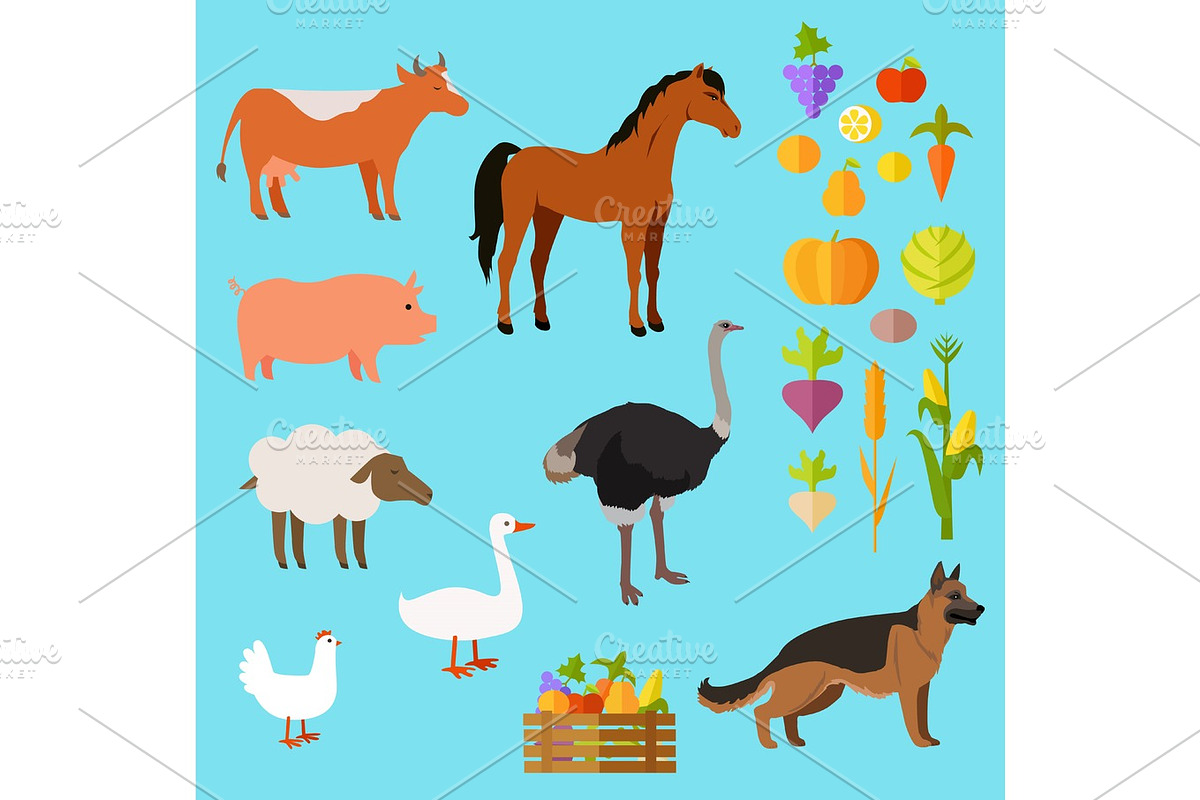 Domestic Animals Set near Fruit and Vegetable in Illustrations - product preview 8
