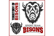Buffalo Head Animal Symbol. Great for Badge Label Sign Icon Logo Design.