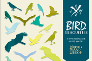 BIRD SILHOUETTES