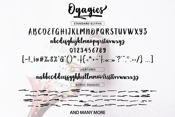 Oqagies Brush + Bonus in Icon Fonts - product preview 7
