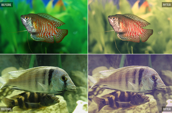 Underwater Lightroom Presets in Add-Ons - product preview 2