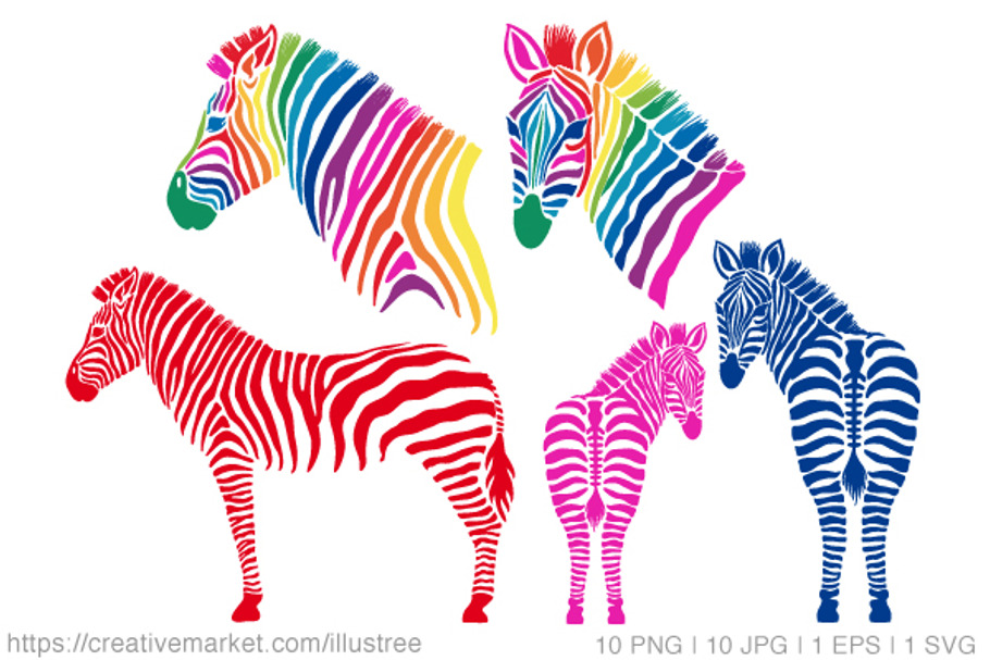Zebra, vector set in Illustrations - product preview 8