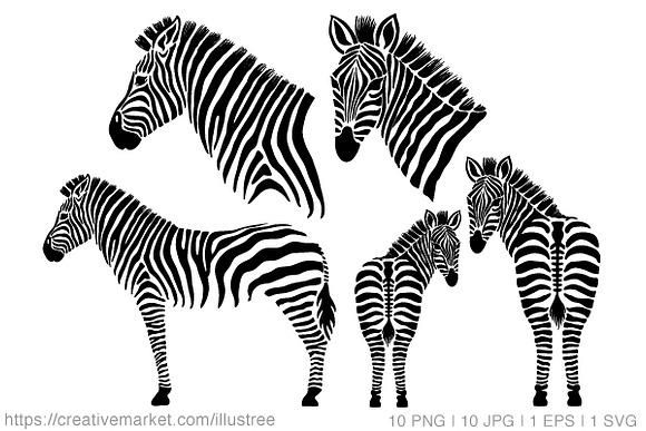 Zebra, vector set in Illustrations - product preview 1