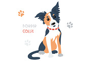 Vector funny Border Collie tricoloured dog sitting