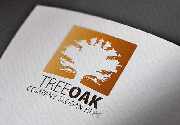 Tree Oak Logo in Logo Templates - product preview 1