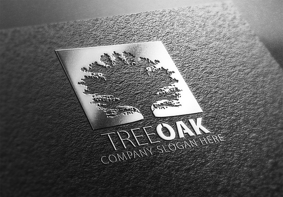 Tree Oak Logo in Logo Templates - product preview 2