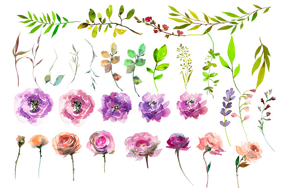Spring Blossom Watercolor Flowers  in Illustrations - product preview 1