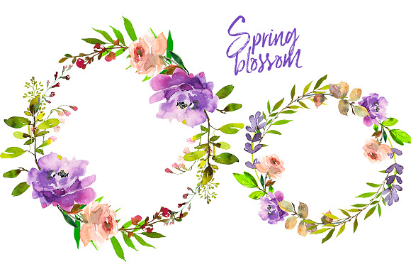 Spring Blossom Watercolor Flowers  in Illustrations - product preview 3