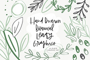 Hand Drawn Botanical Leafy Graphics