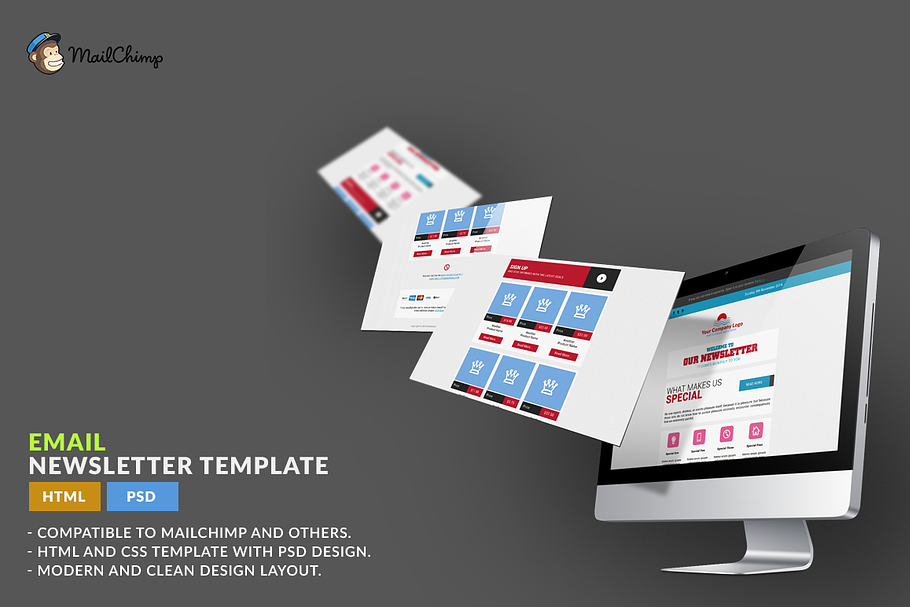 E-Newsletter Template: HTML in HTML/CSS Themes - product preview 8