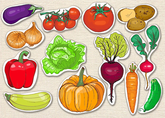 Vector set of hand drawn vegetables in Illustrations - product preview 1