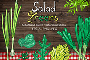 Vector set of green salad leaves