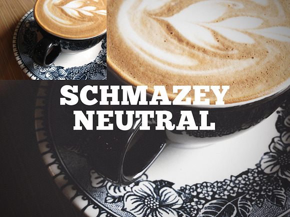 Schmazey Neutral Photoshop Action in Add-Ons - product preview 2