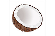 Half of Coconut. Tropical Nut Isolated illustration