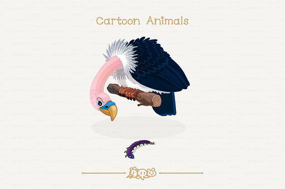 vector Birds set in Illustrations - product preview 13
