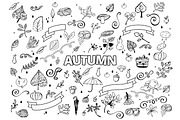 Vector set of Different Hand Drawn Autumn Design Elements. Vector Autumn Doodle Illustration. Autumn Doodles. Coloring book. Leaves, curls, mushrooms, hedgehog, chestnut