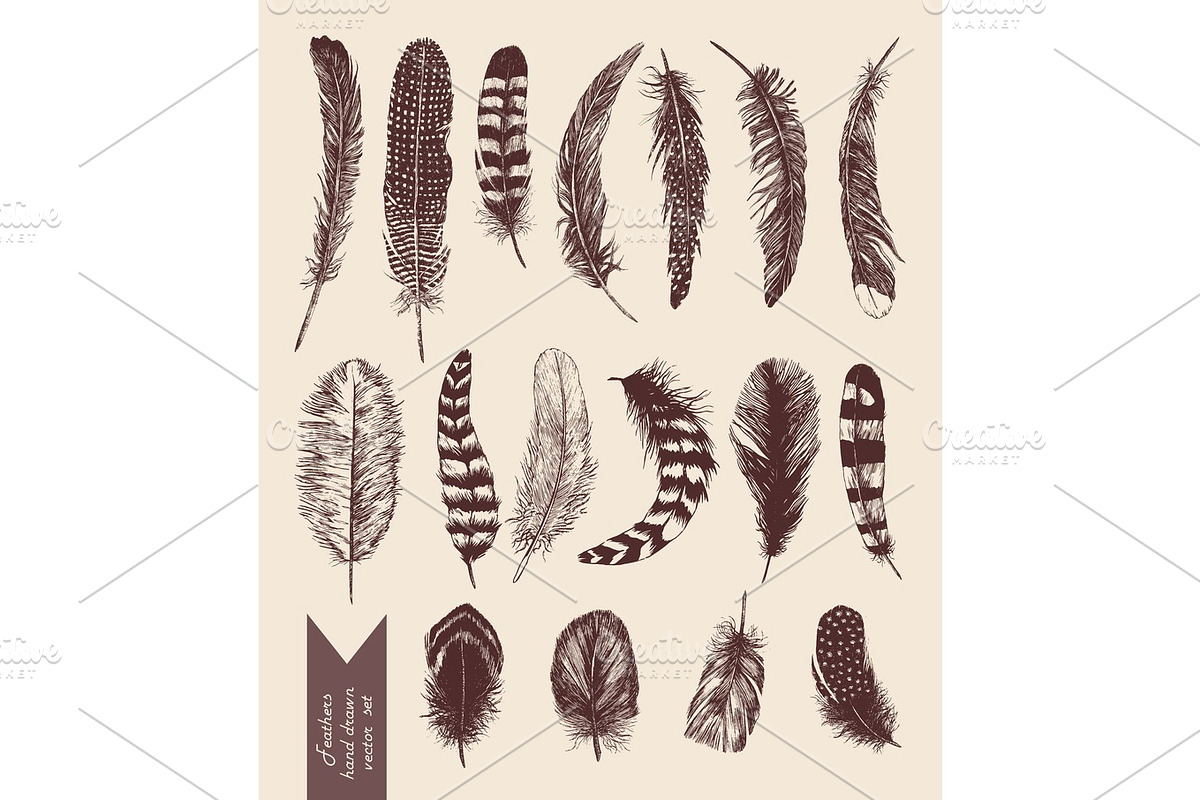 Hand drawn vintage set with feathers. Vector. in Objects - product preview 8