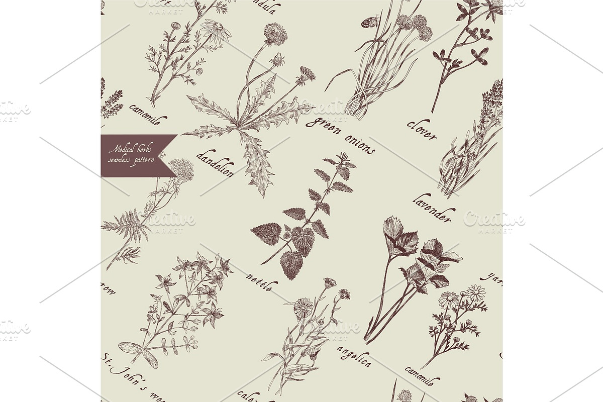 Medical herbs seamless pattern. Hand drawn vector. in Illustrations - product preview 8