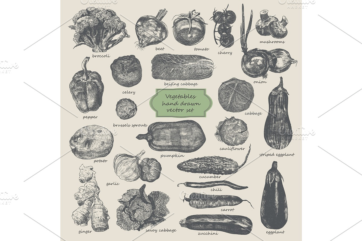 Vegetables hand drawn vector set. in Illustrations - product preview 8