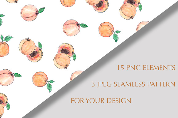 Apricot watercolor clipart set in Illustrations - product preview 1