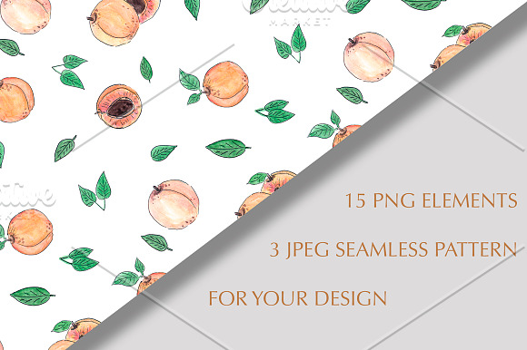 Apricot watercolor clipart set in Illustrations - product preview 2