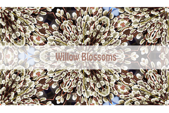 Seamless kaleidoscopic visions in Textures - product preview 8