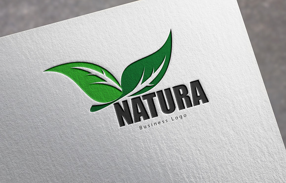 Natura Business Logo in Graphics - product preview 2