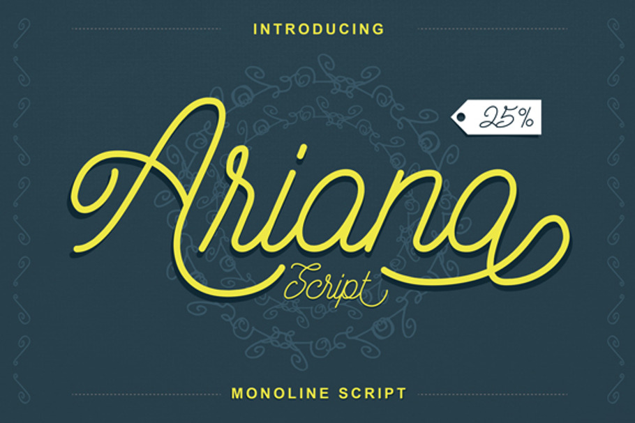 Ariana Script + Bonus in Script Fonts - product preview 8