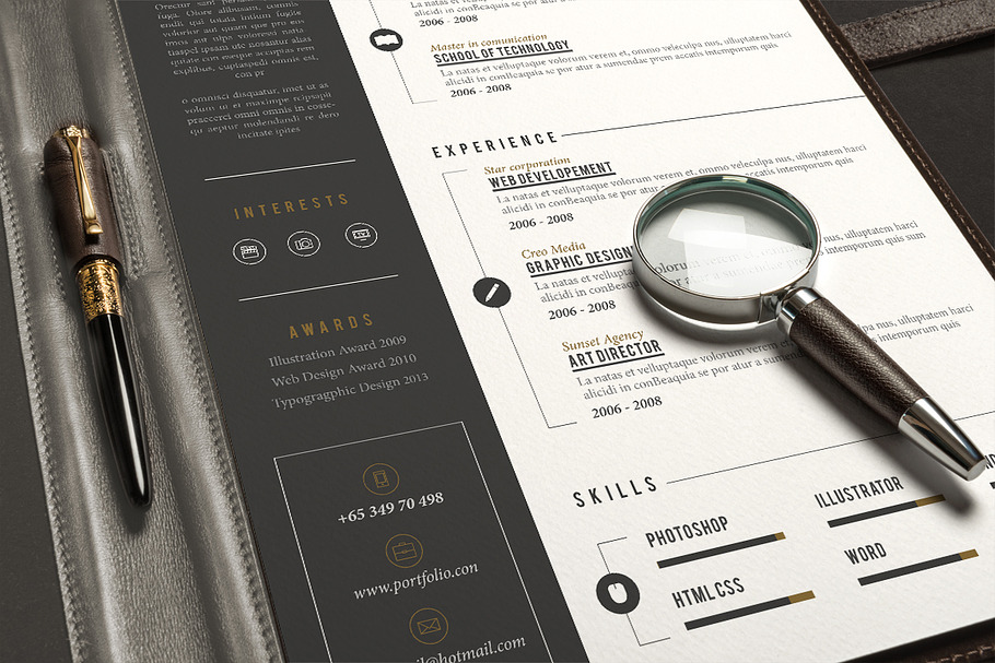 Pro Resume in Resume Templates - product preview 8