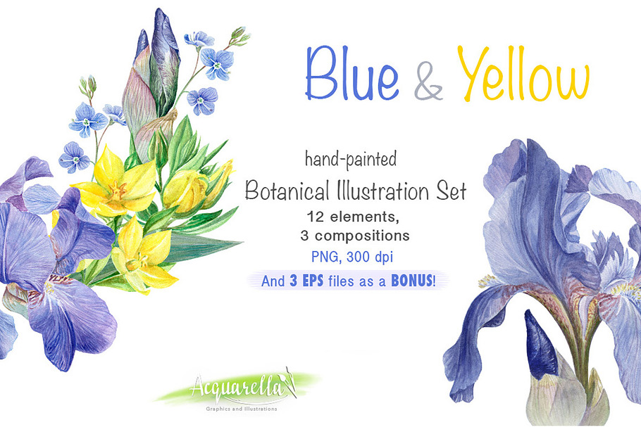 BLUE & YELLOW set in Illustrations - product preview 8