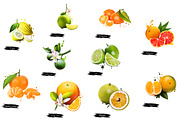 Citrus Fruits digital art collection