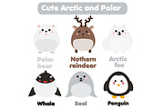 Cute polar and arctic animals