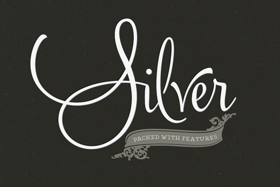 Silver in Script Fonts - product preview 8