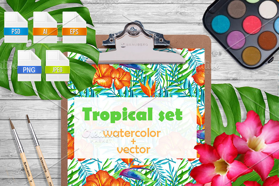Tropical large set.Watercolor vector