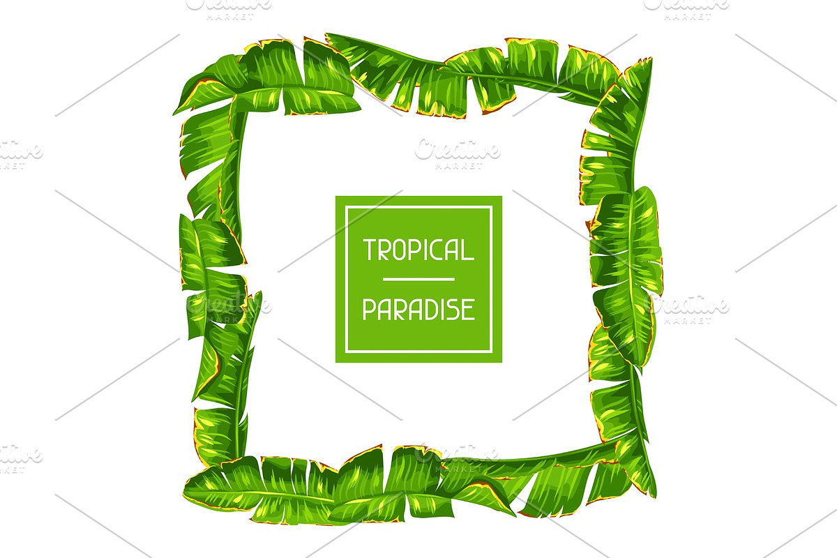 Frame with banana palm leaves. Decorative tropical foliage in Objects - product preview 8