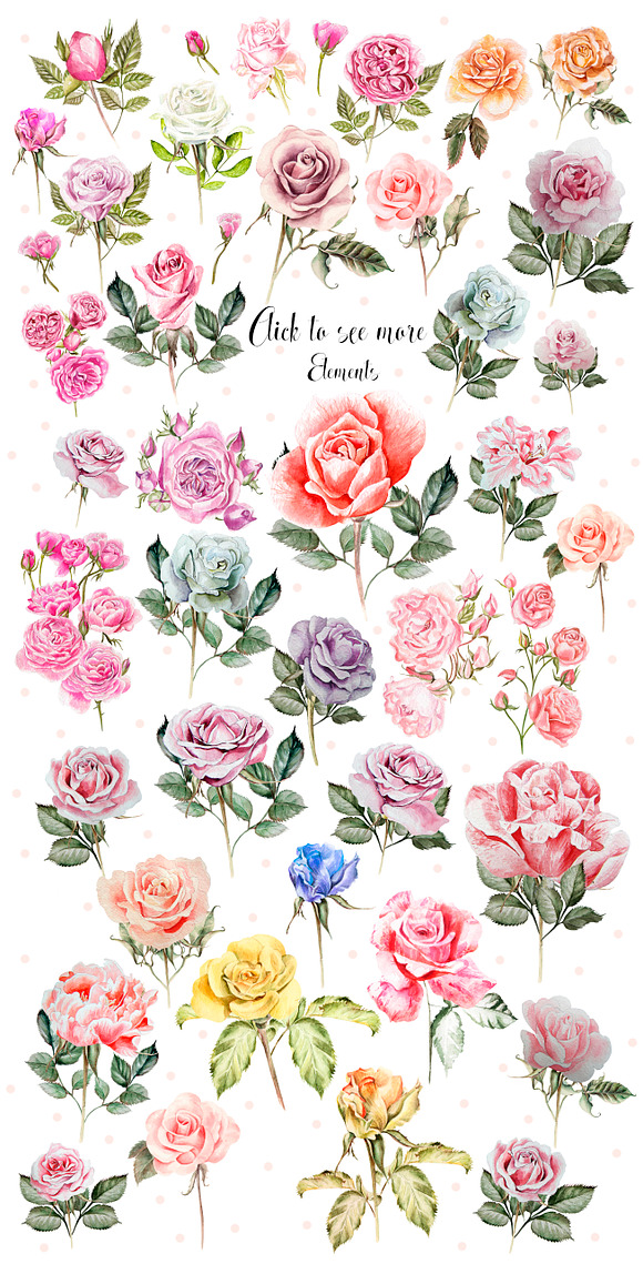 Hand Drawn Watercolor ROSES BUNDLE  in Objects - product preview 2
