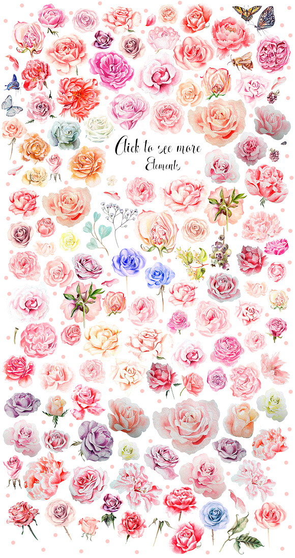 Hand Drawn Watercolor ROSES BUNDLE  in Objects - product preview 3