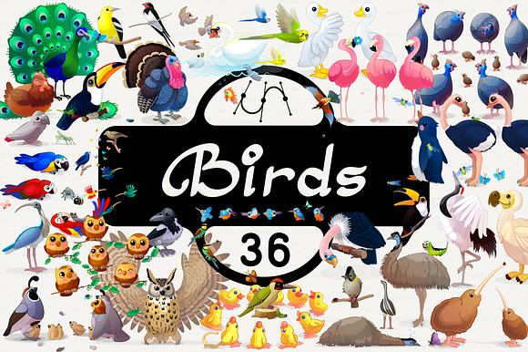 vector Birds set in Illustrations - product preview 35