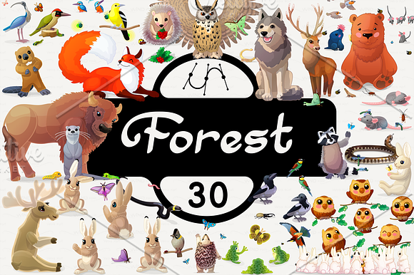 vector set animals of Forest in Illustrations - product preview 30