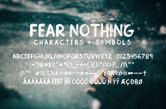 Fear Nothing Brush Font in Script Fonts - product preview 4
