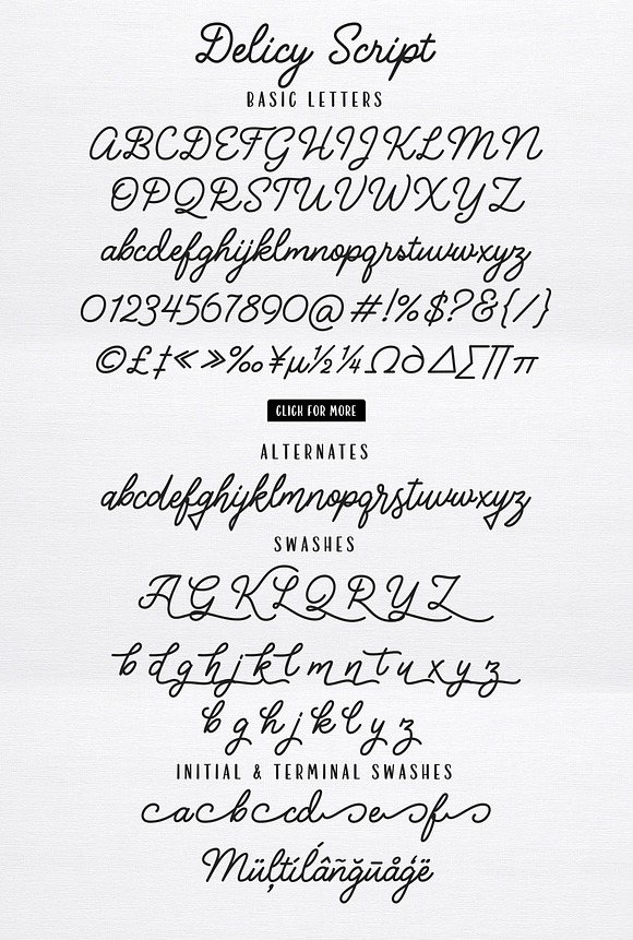 Delicy in Script Fonts - product preview 6