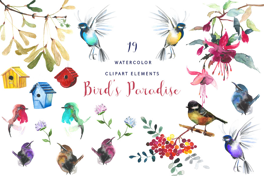 Watercolor Birds' Paradise Clipart