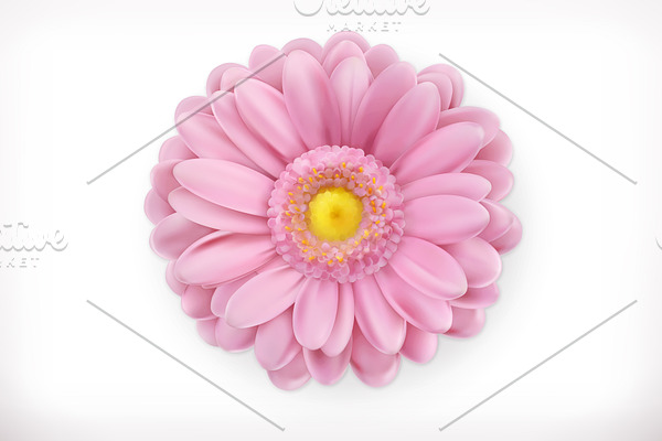 Spring pink flower, vector icon