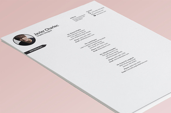 4 Page Professional Resume Template in Resume Templates - product preview 3