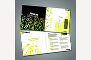 Business Brochure Idea