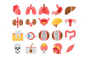 human organs icons