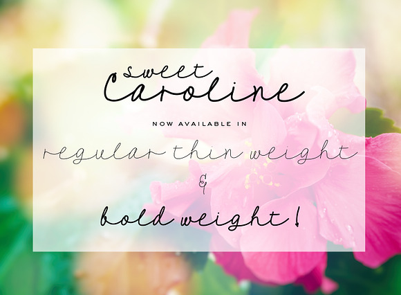 Sweet Caroline in Script Fonts - product preview 2